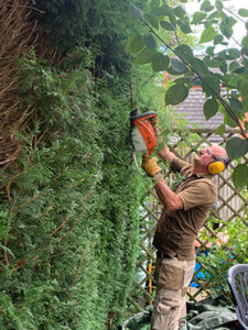 Bucks Fizz member Guy Johnson cutting hedges